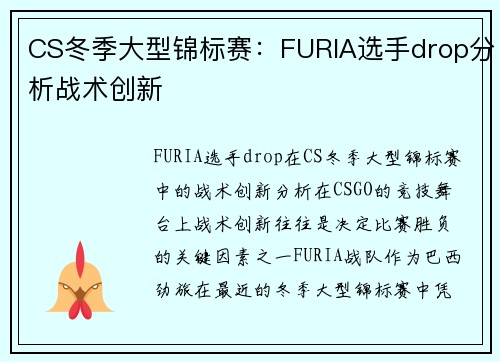 CS冬季大型锦标赛：FURIA选手drop分析战术创新